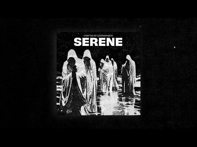 Dark Loop Kit “SERENE” (10 Loops) | 21 Savage, Asap Rocky, Travis Scott, Drake