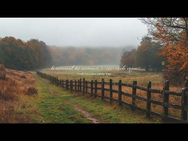 a fall piano playlist for foggy october days