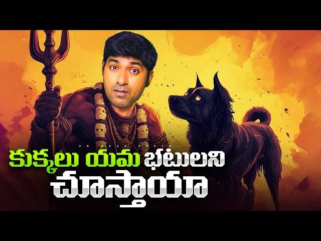 Superstitions & Reality Of Dogs Vision, Mysterious Antarctica Pyramid | Telugu | VR Raja Facts