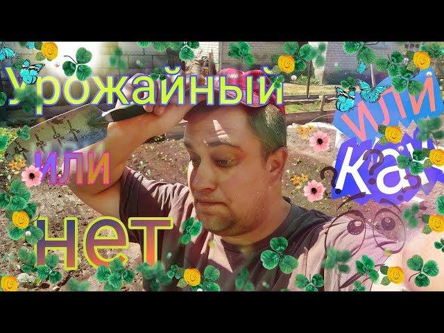 Урожайный огород Агронома, или как Агроном огород сажал!!!