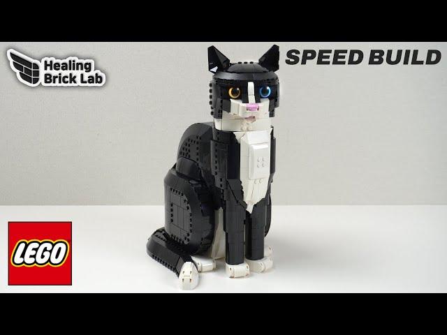 LEGO Tuxedo Cat 21349 Speed Build