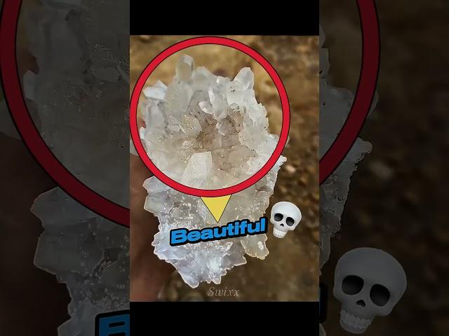 Best Mineral Finds 