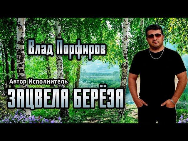 Влад Порфиров "ЗАЦВЕЛА БЕРЁЗА"