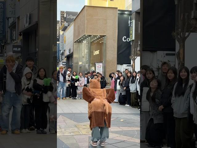 래서판다 터미널 보실 분~??#춤추는곰돌 #춤추는큰서윤 #터미널 #터미널챌린지 #tiktok #shorts #trending #music #kpop #video #afstarz