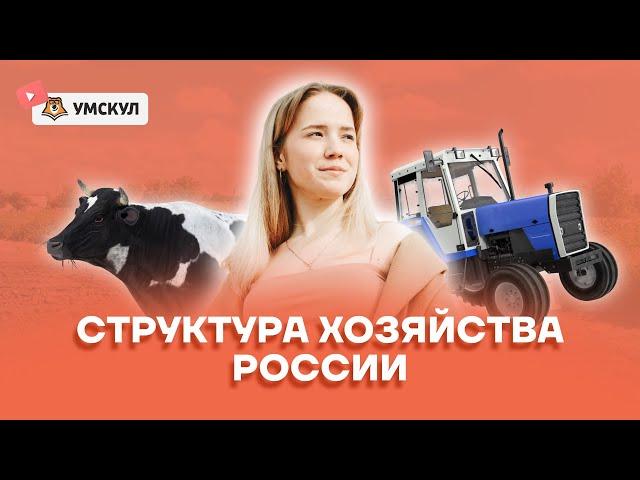 Структура хозяйства России | География ЕГЭ 2022 | Умскул