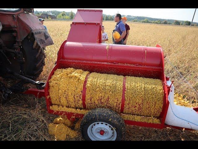 Уборка тыквы. Тыквоуборочный комбайн 1500 мм. Pumpkin seed harvest machines.