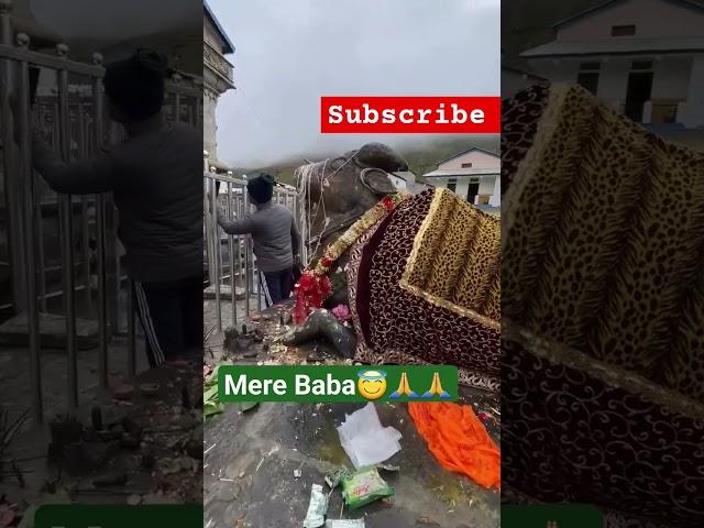 Mere Baba#viral #shorts #trending #bhakti #bholenath#shortfeed #mahadev#youtubeshorts #bhaktisong