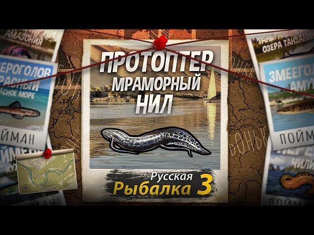 "Мутант" Протоптер Мраморный. Нил. Русская рыбалка 3.