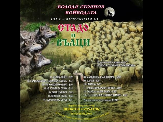 Не копнея за Дубай- Володя Стоянов- Войводата