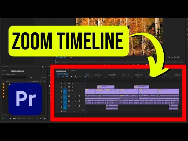 Zoom In & Out Timeline in Premiere Pro (3 methods)