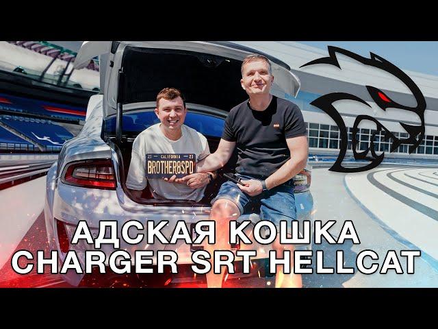 Dodge Charger SRT Hellcat Jailbreak - Адская Кошка!