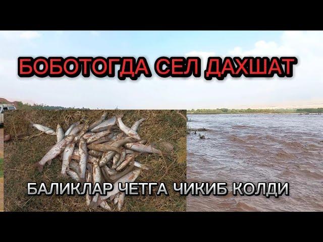 СУРХОНДАРЁ ТОЖИКИСТОН УРТАСИДА ДАХШАТЛИ СЕЛ..