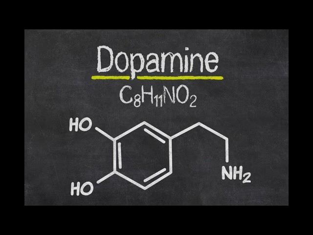 Dopamine sensitivity (Chumpy Reupload)