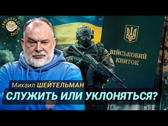 Украина и мобилизация. Михаил Шейтельман