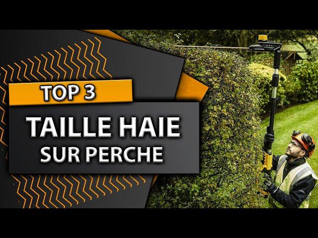 TOP 3 : Meilleur Taille Haie Sur Perche 2024