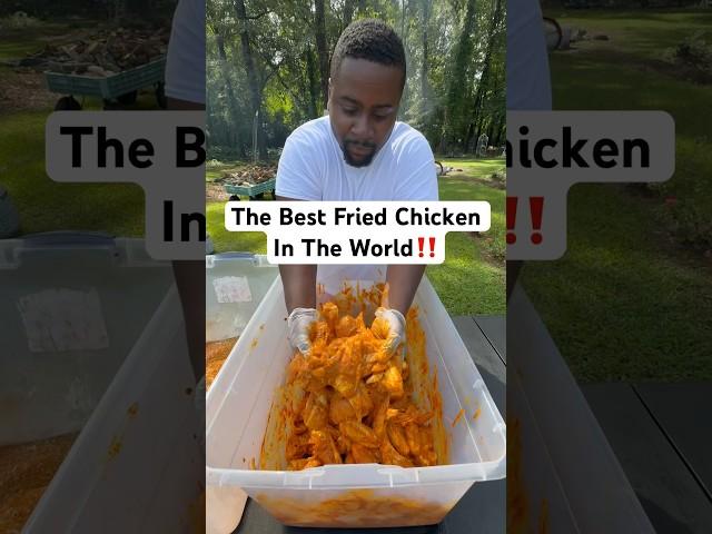 The Best Fried Chicken #explore #explorepage #foodblogger #fypage #fyp #foryourpage #tiktok #fypシ゚