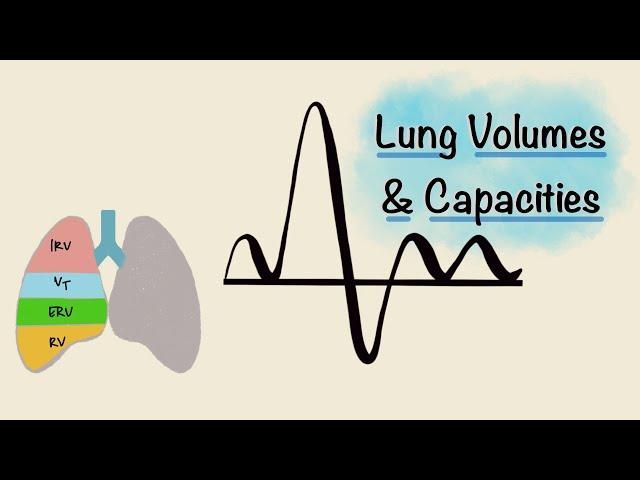 Lung Volumes and Capacities | Spirogram | Spirometry | Respiratory Physiology