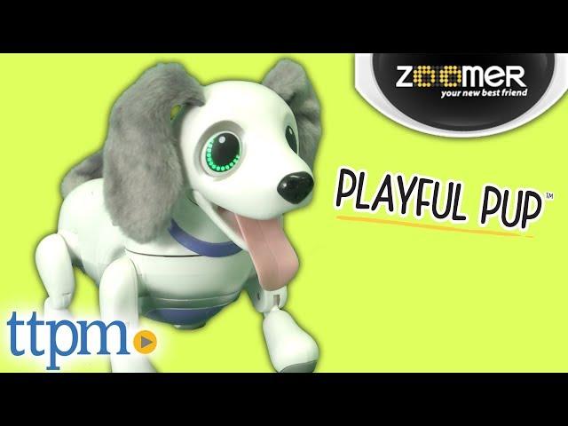 Zoomer Playful Pup from Spin Master