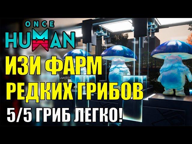 Получи РЕДКИЙ ГРИБ 5/5 - ЛЁГКОЕ получение РЕДКОГО СИНЕГО УНИКАЛЬНОГО гриба в Once Human Фермерство