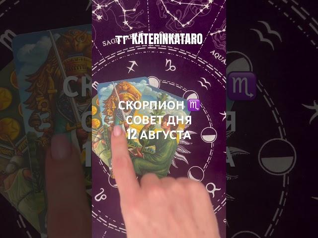 СКОРПИОН ️ СОВЕТ ДНЯ 12 АВГУСТА #скорпион #таро#гороскоп#таролог#tarot #100 #love #рек #reels#taro