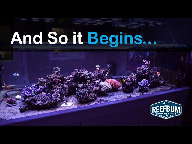 The Peninsula Tank is Reborn!