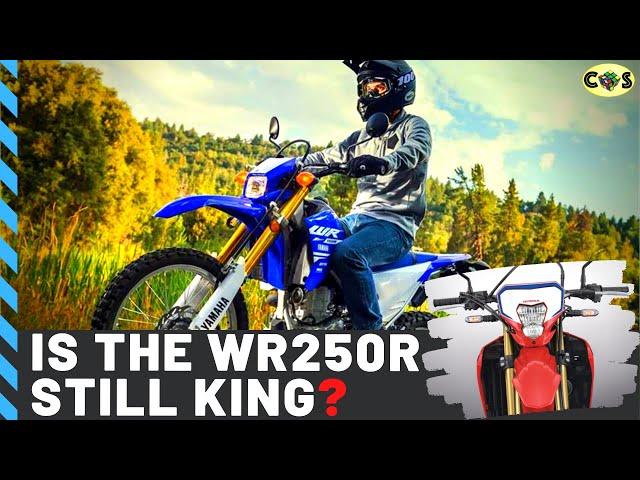 YAMAHA WR250R VS HONDA CRF300L | Dual Sport Comparison & Buyers Guide