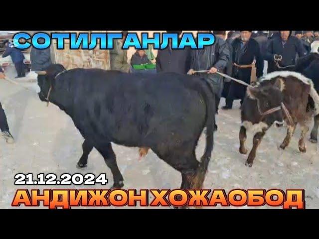 21 декабря #7 Андижон ХОЖАОБОД сотилганлар мол бозор 2024 QODIROV TV 2