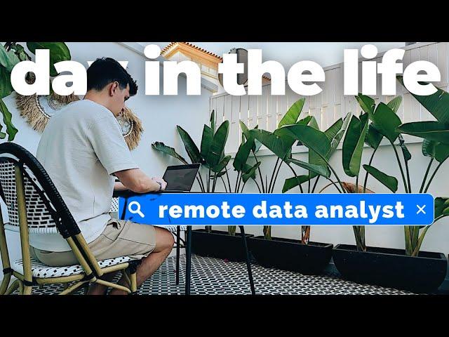 Day in the Life of a REMOTE DATA ANALYST