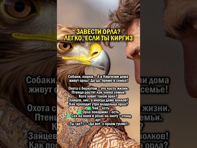 ВМЕСТО КОТА - ОРЕЛ        #история #кот #животные