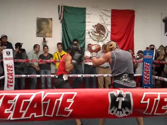 sparring JM Márquez vs 8 zaragoza