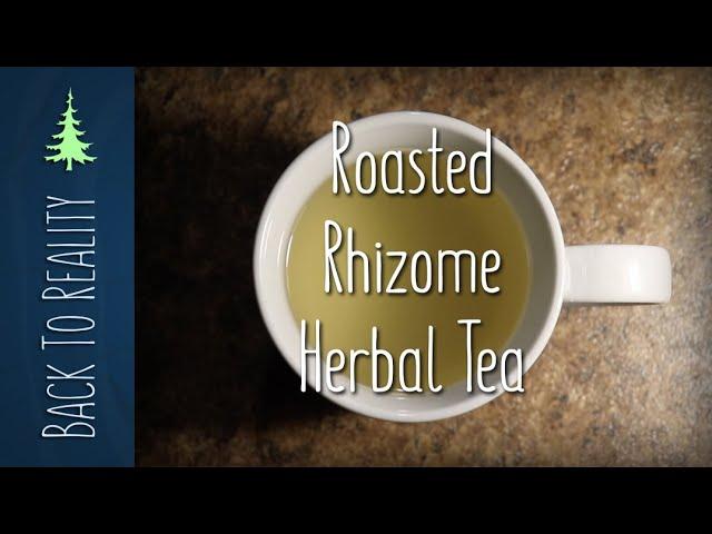 Grass Herbal Tea Update: We Tried Roasting the Rhizomes!