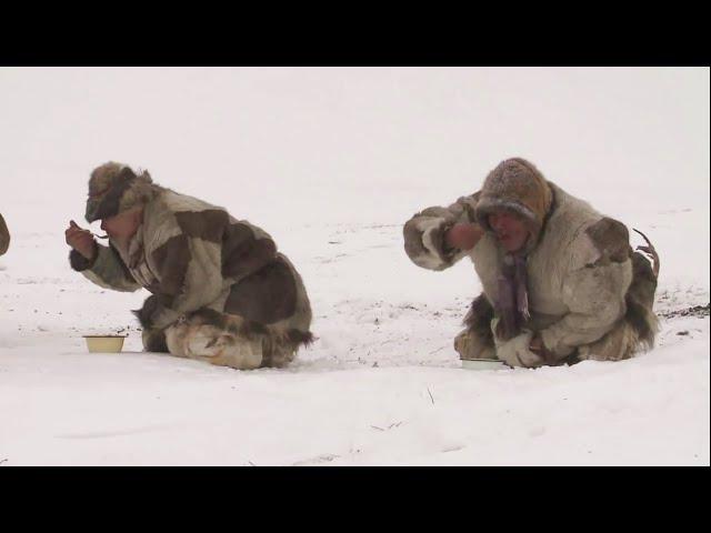 chukchi nomads life in most hostile land of Arctic