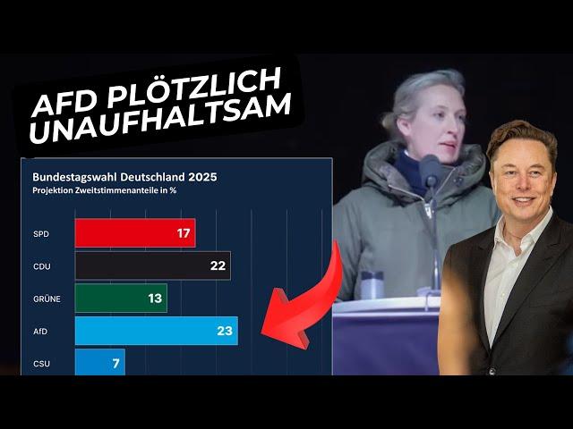  AFD-TRIUMPH: Union vor dem Kollaps! Umfragen schocken Deutschland!