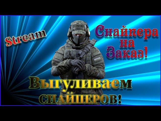 Бодрый стрим на Снайперах!