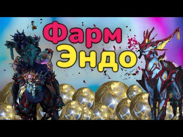 Warframe фарм Эндо 40к за час в соло как фармить много Эндо одному тактика и билды 2024г  MrObiWan