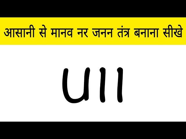 मानव का नर जनन तंत्र सबसे आसान तरीके से बनाना सीखे। How to Draw a Male Reproductive System