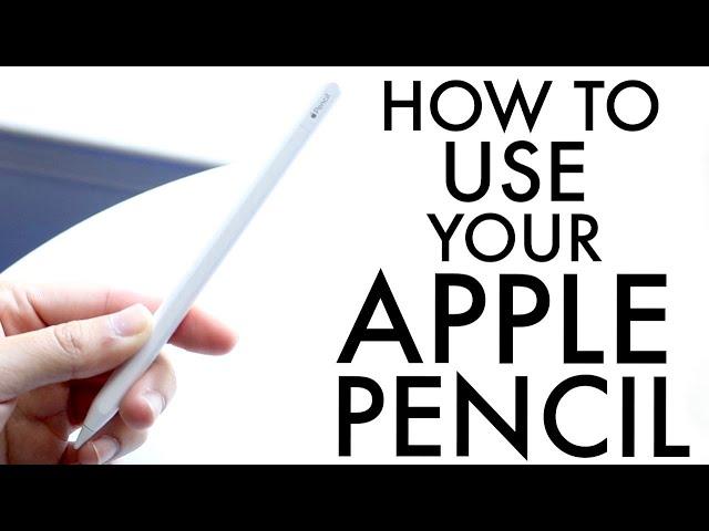 How To Use Your Apple Pencil! (Complete Beginners Guide)