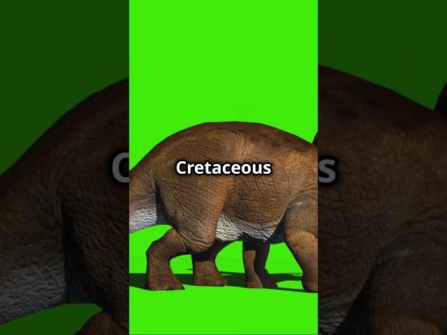 5 Amazing Facts About Triceratops! 2024 11 13