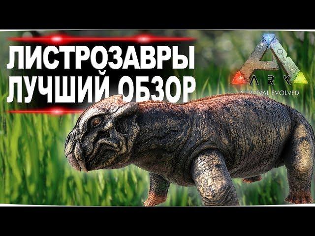 Листрозавр (Lystrosaurus) в АРК  Лучший обзор приручение, разведение и способности  в ark