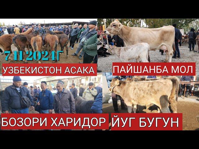 УЗБЕКИСТОН АСАКА ПАЙШАНБА МОЛ БОЗОРИ БОЗОРГА МОЛ КИРМАДИ БУГУН