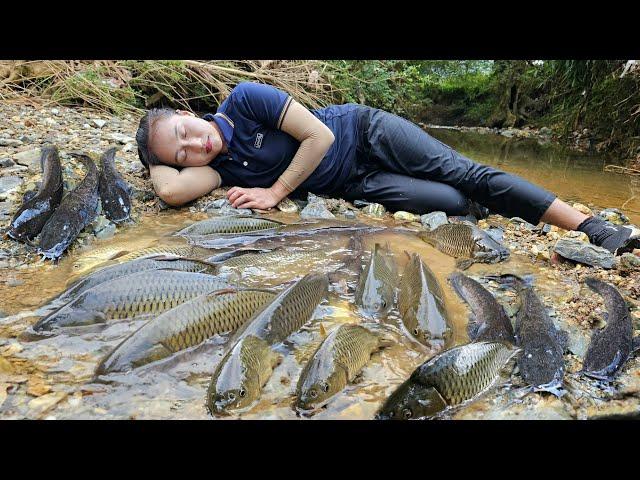 Follow the girl fishing in the dry season stream sell at the country market - Cooking | Ly Thi Tam