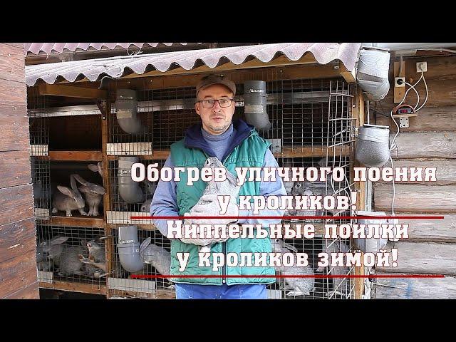 Обогрев уличного поения у кроликов! Ниппельные поилки у кроликов зимой!