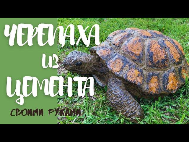 Черепаха из цемента для сада своими руками//Садовые фигуры