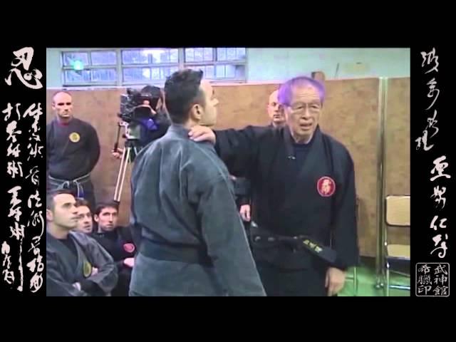 Taiden Shinden Okuden  体伝 心伝 奥 伝 Ninpo Taijutsu