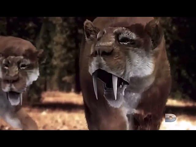 Smilodon Hunt