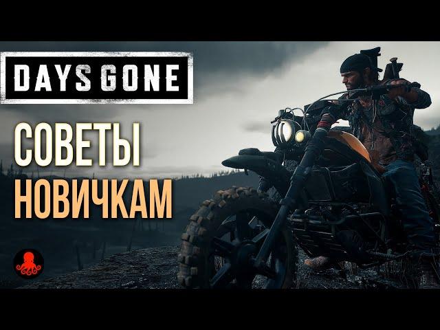 СОВЕТЫ НОВИЧКАМ Days Gone