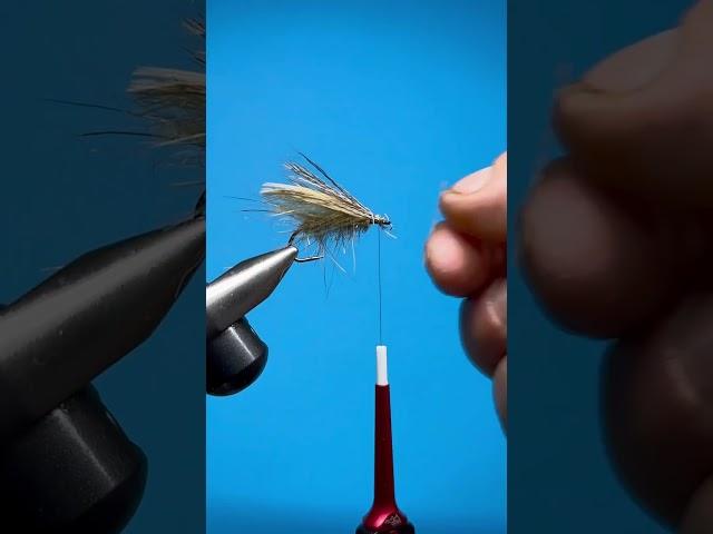 Soft sedge