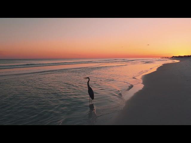 LIFE ON FLORIDA'S EMERALD COAST