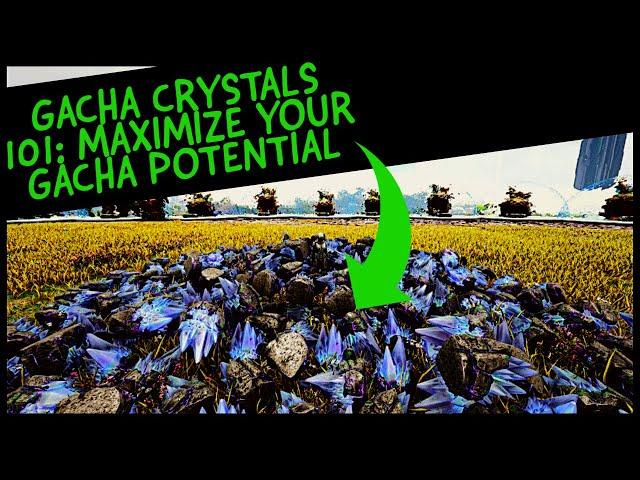 GACHAS 101: HOW TO SET UP YOUR GACHA FARM