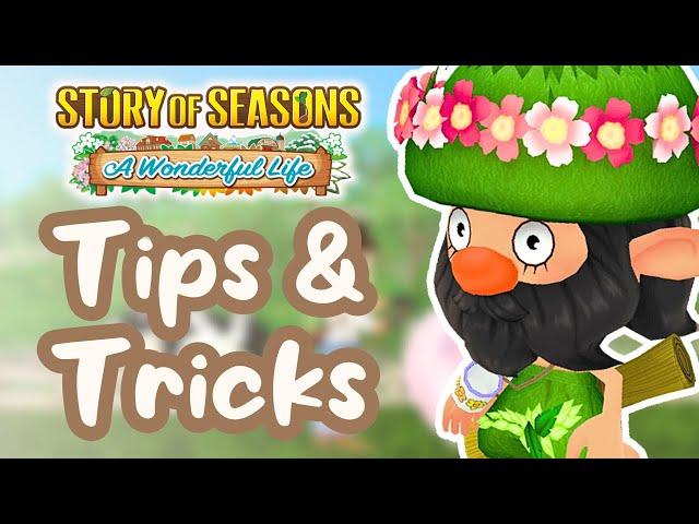 15+ Must Know Tips and Tricks | Story of Seasons A Wonderful Life